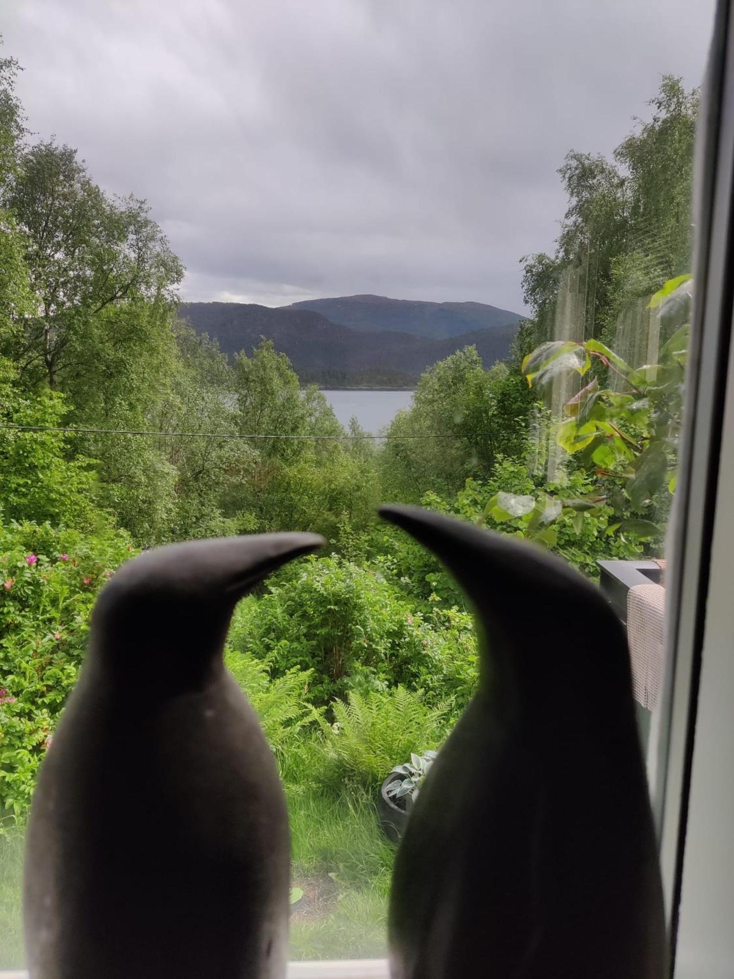 Вілла Fjord Peace Skodje Екстер'єр фото